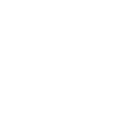 light logo